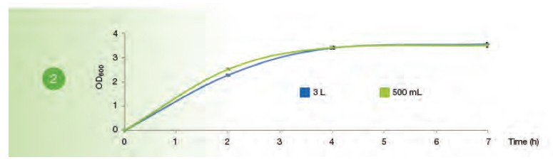 E.Coli Scale-Up