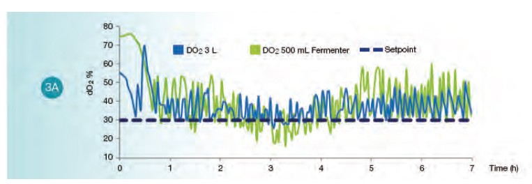 E.Coli Scale-Up