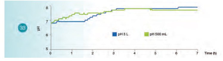 E.Coli Scale-Up