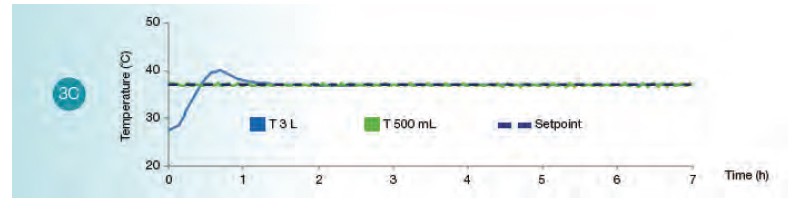 E.Coli Scale-Up