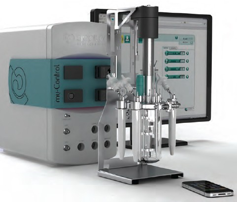 E.Coli Scale-Up