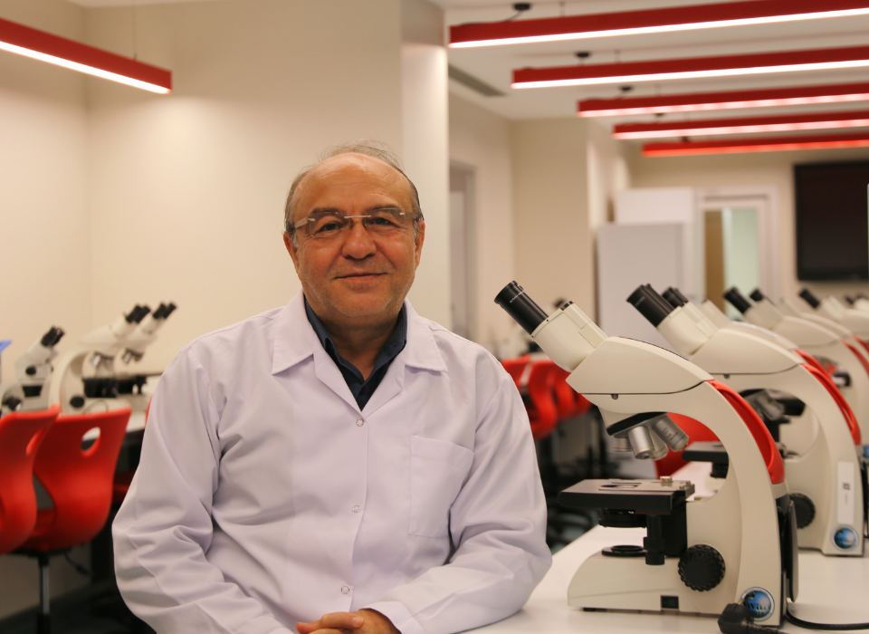 Optogenetics: The Method Illuminating the Brain's Secrets
