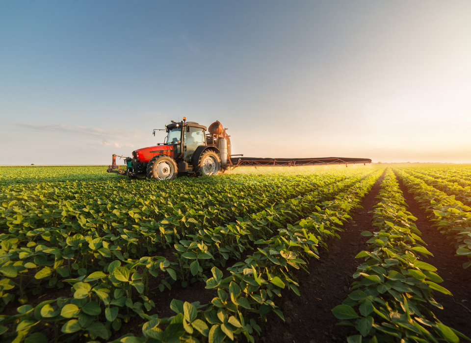 Türkiye's Agricultural Products Exports Reached 27.1 Billion Dollars