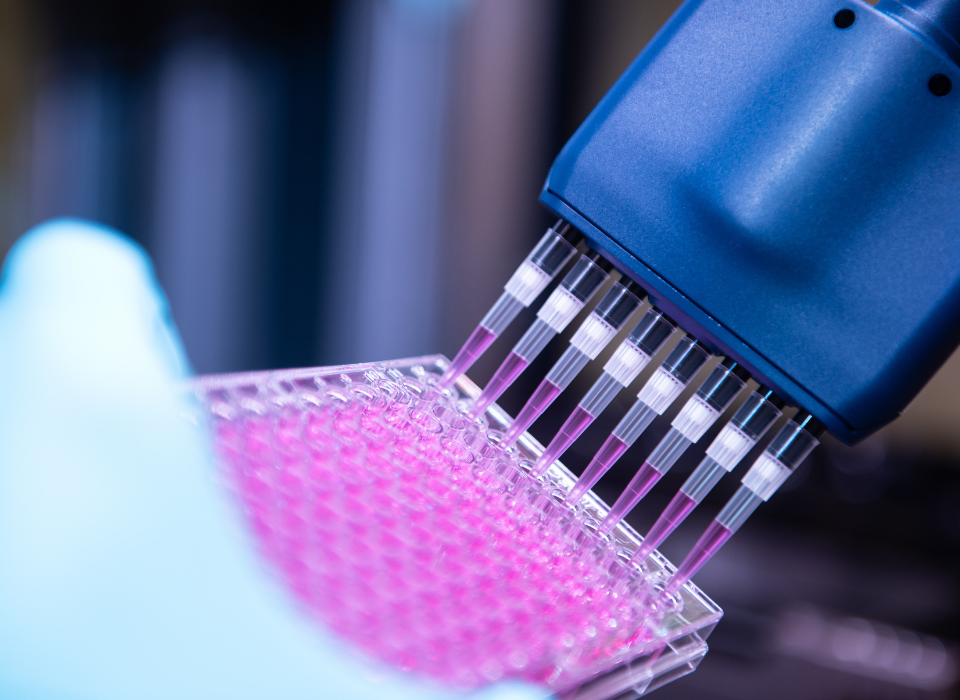 Novo Nordisk, Klinik Araştırma Yatırımlarını İkiye Katlayarak Türkiye’den Geleceğe Yön Veriyor