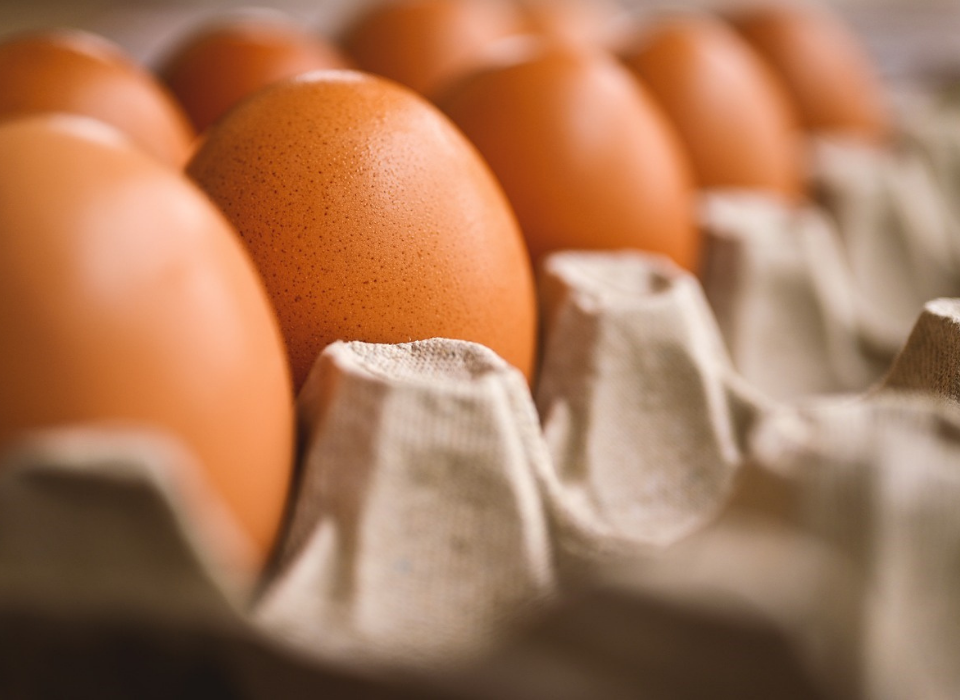 Emulsifying Champion: How Egg Yolk Powers Food Innovation