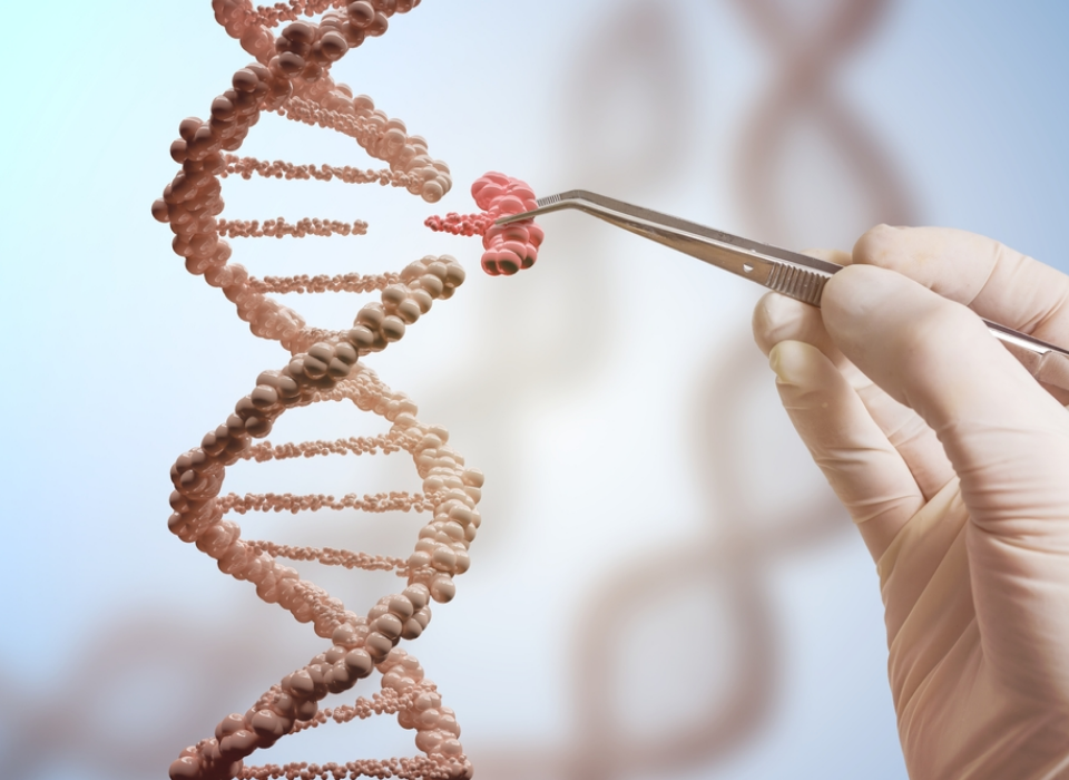 NANOSPRESSO ile Kişiselleştirilmiş Gen Tedavileri