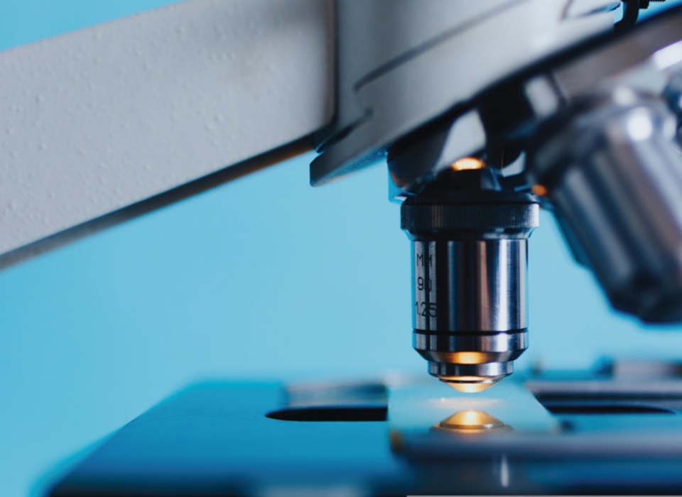 Gıda Güvenliği Test Pazarı Büyümeye Devam Edecek