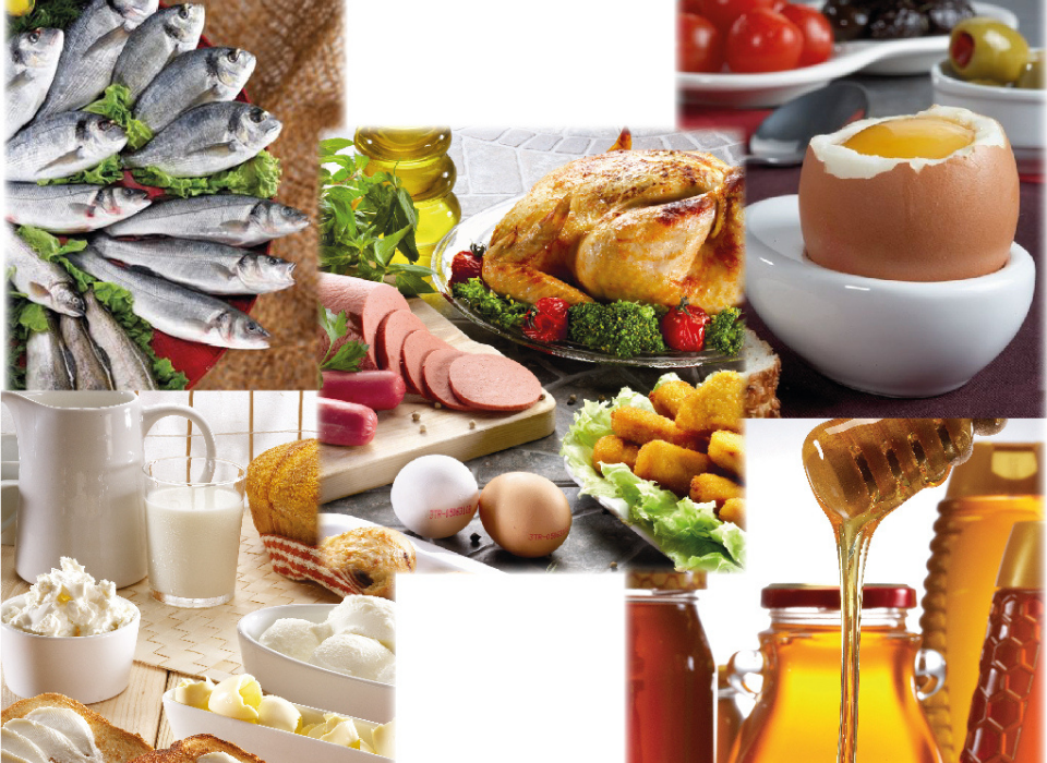 Türkiye Su Ürünleri ve Hayvansal Mamuller İhracatı 2025’te 4 Milyar Doları Aştı