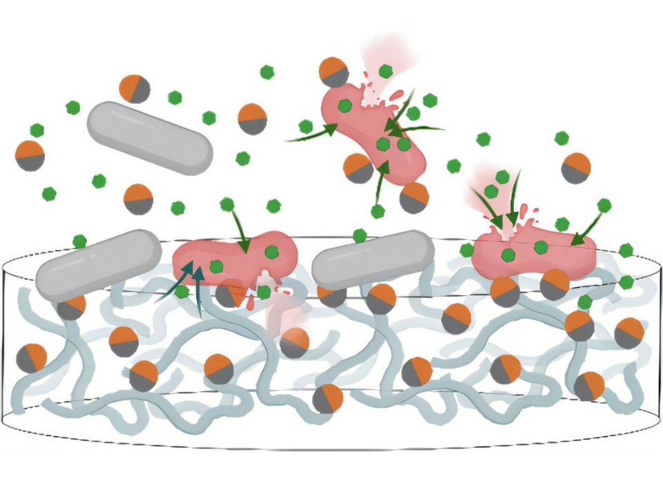 İki Yüzlü Nanopartiküllerle Antibiyotiklere Yeni Bir Soluk Getirmek