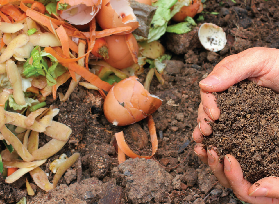 Gıda Atığı Kompostu Tek Başına Saksı Harcından Daha Az Etkili