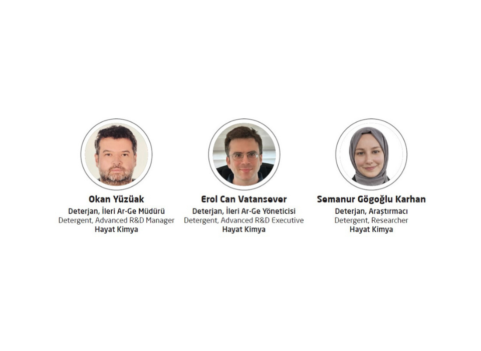 Kan Lekesi Giderimine Yönelik Formülasyon Parametreleri: pH, Sıcaklık, Tuz İlavesi ve İndirgeme Ajanı Etkileri