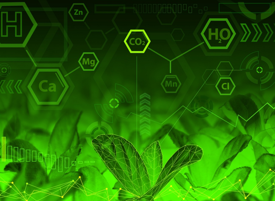 ABD Sanayisi Yeşil Kimya Yatırımlarını Hızlandırıyor