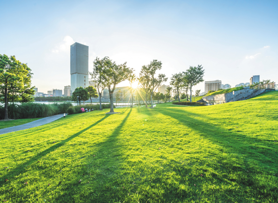 Legrand Türkiye Grubu İle Yapılarda Akıllı Ve Verimli Dönem