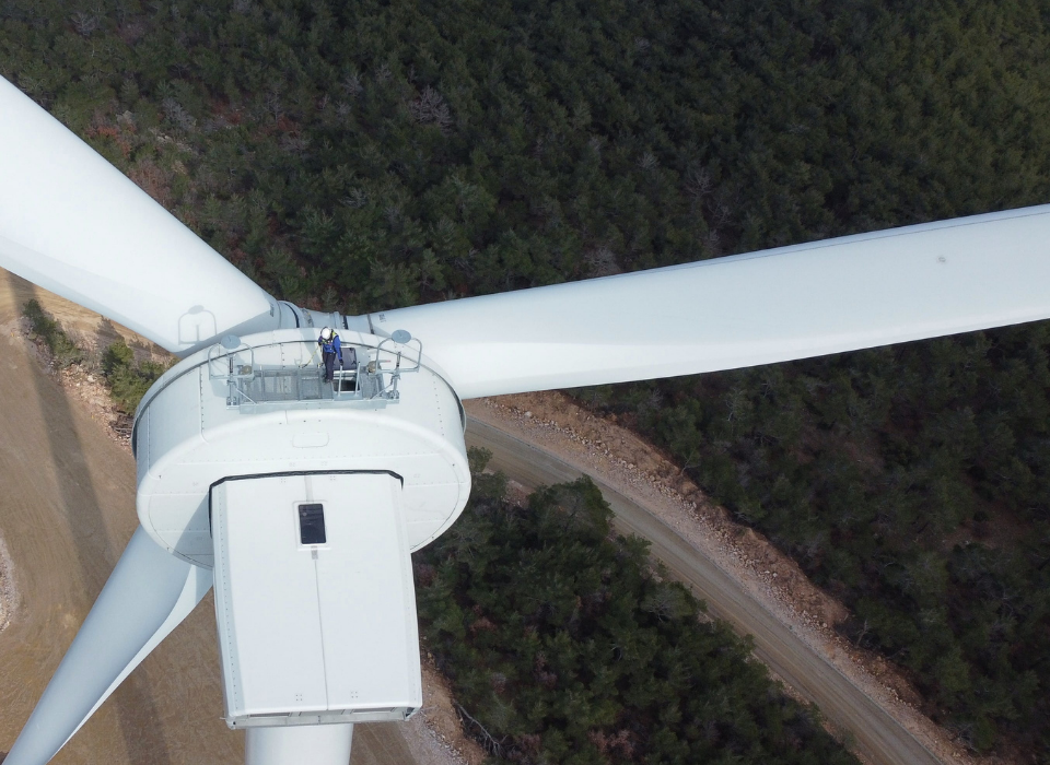 Enerjisa Üretim, Kadınlarla Güçlenen Enerji Ekosistemi İnşa Ediyor