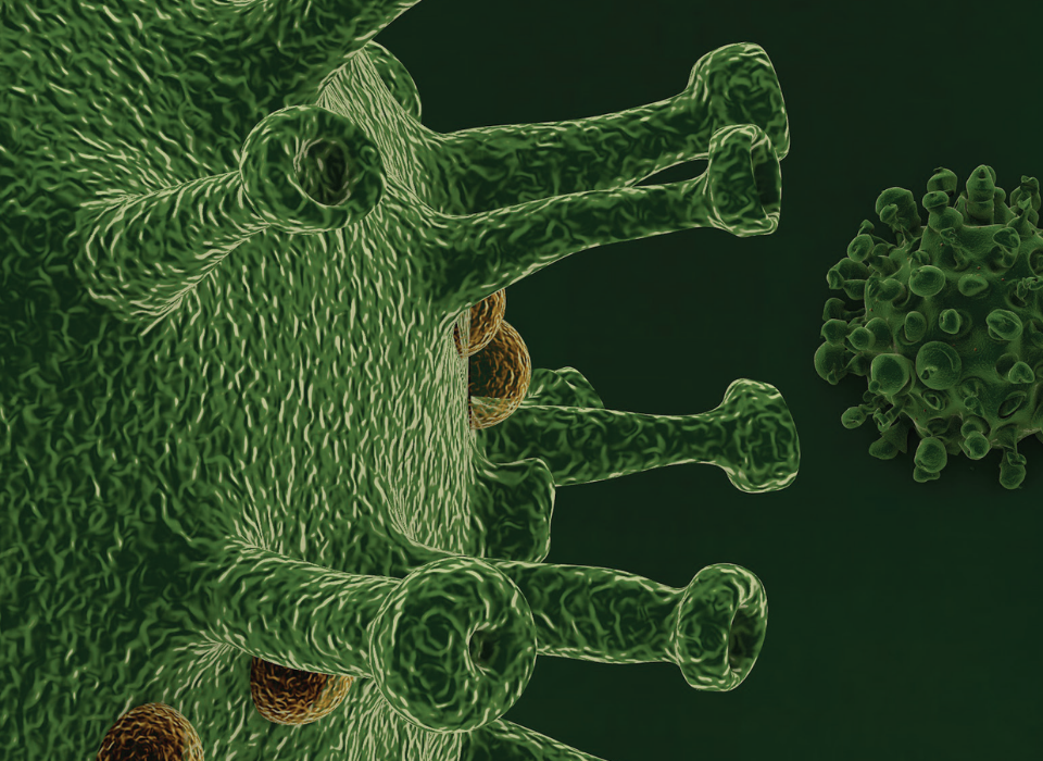 Mikrobiyoloji ve Biyogüvenlik