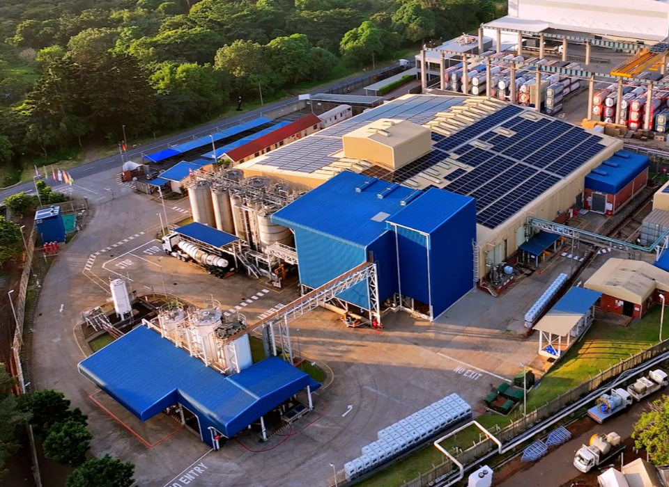 BASF Expands Dispersions Capacity in South Africa