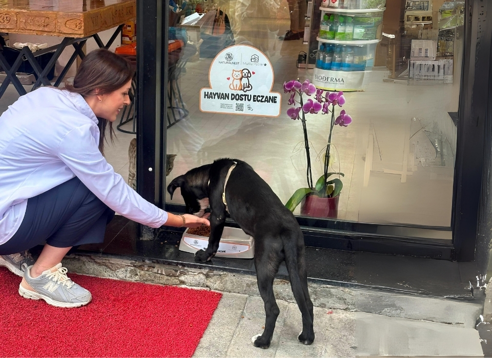 Hayvan Dostu Eczaneler Projesi İle Mama Kapları Sevgiyle Doluyor