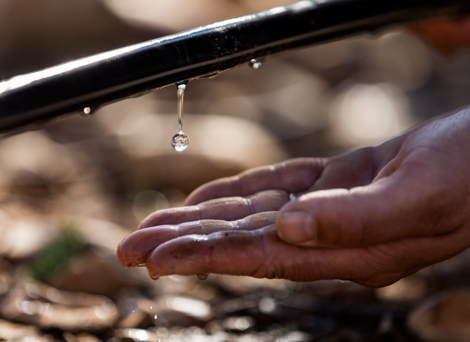 NETAFIM Türkiye’den Ulusal Su Planı ile uyumlu “su verimliliği” hamlesi