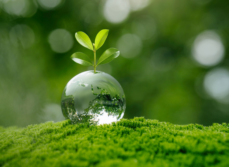 Zorlu Enerji Sürdürülebilirlikte Liderlik Seviyesine Yükseldi