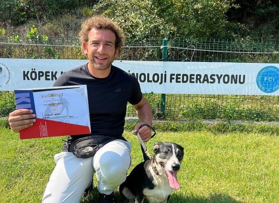 Diplomalı Sokak Köpeği 'Safiş', Terapist Olma Yolunda İlerliyor