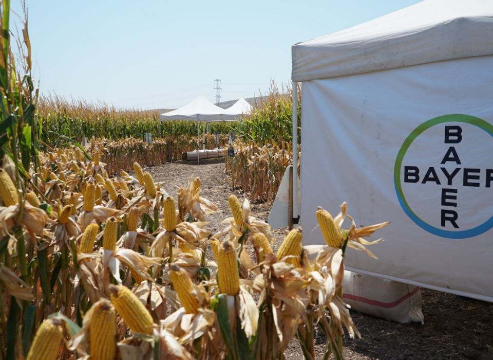 Bayer, Agro Arena Mısır Etkinliği’nde Hatay’da 1.000’in Üzerinde Üreticiyle Buluştu
