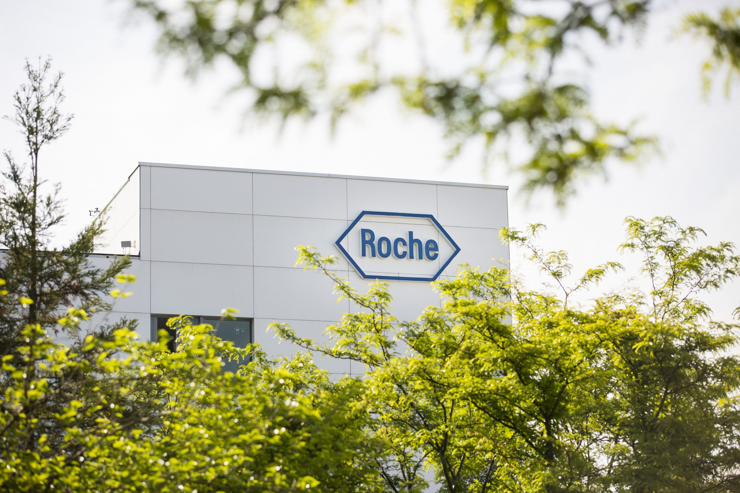 Roche 2019 Yılında Grup Satışlarını Artırdı