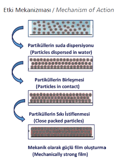 Film Yapıcı Ajan / Su Bazlı Sistemlerde Alkol Ester: ALCOTER®