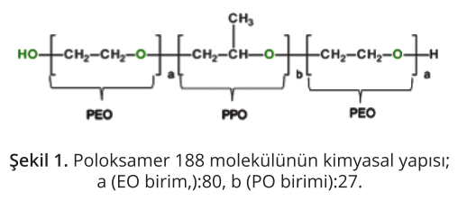 Kolliphor P 188 Bio Ürünü ile Biyolojik İlaç Üretiminde Kesme Gerilimine Karşı Koruma