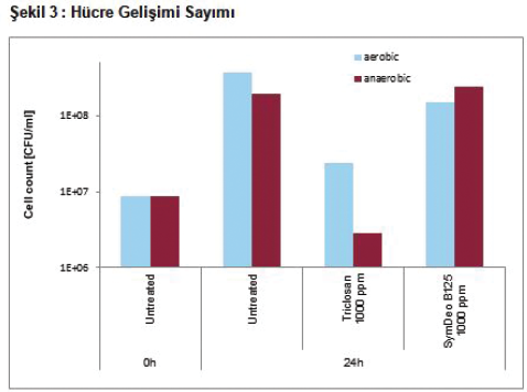 İnsan Koltukaltı Mikrobiyom Modeli