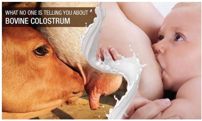 Colostrum: Elixir of Life