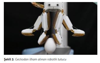 : Geckodan ilham alınan robotik tutucu