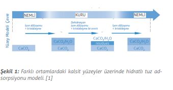 klı ortamlardaki kalsit yüzeyler üzerinde hidratlı tuz adsorpsiyonu modeli. [1]