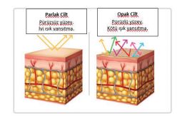 Parlak Cilt