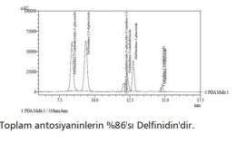  Analitik Testler