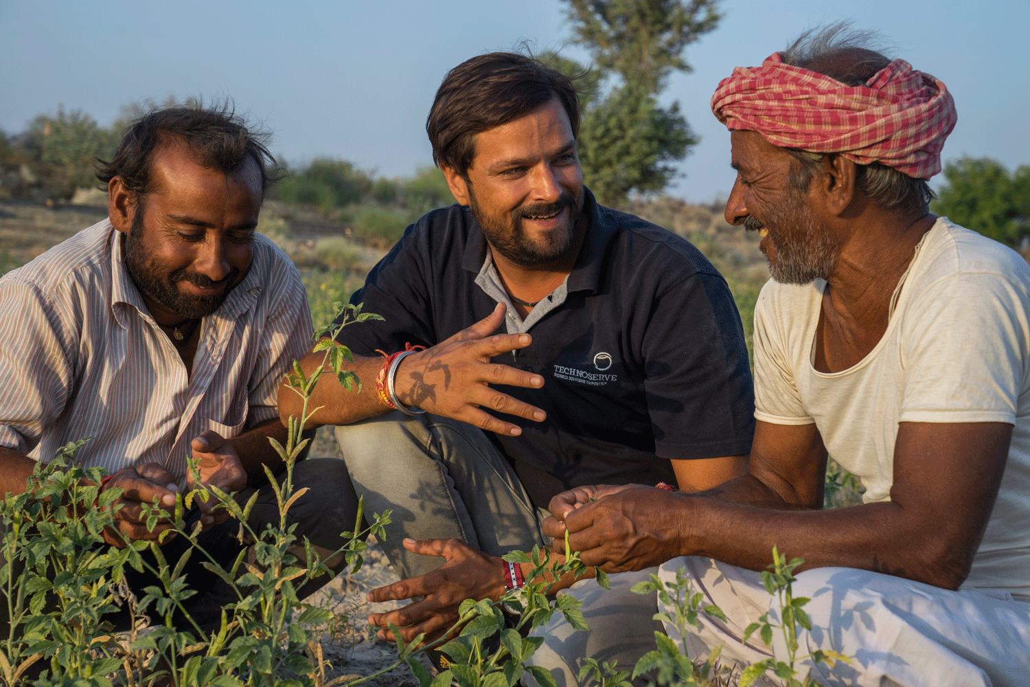 Sustainable Guar Farming in India