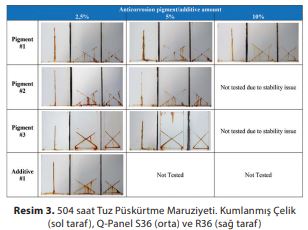 504 saat Tuz Püskürtme Maruziyeti