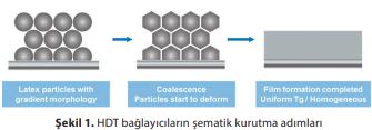  HDT bağlayıcıların şematik kurutma adımları