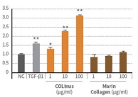 Collagen graphic