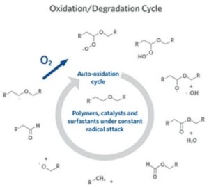  The auto-oxidation cycle