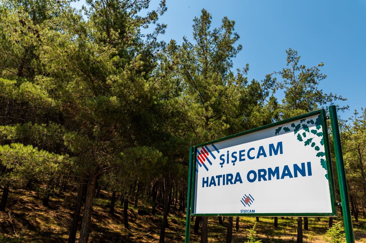 Şişecam Yatağan’da Hatıra Ormanı Oluşturdu