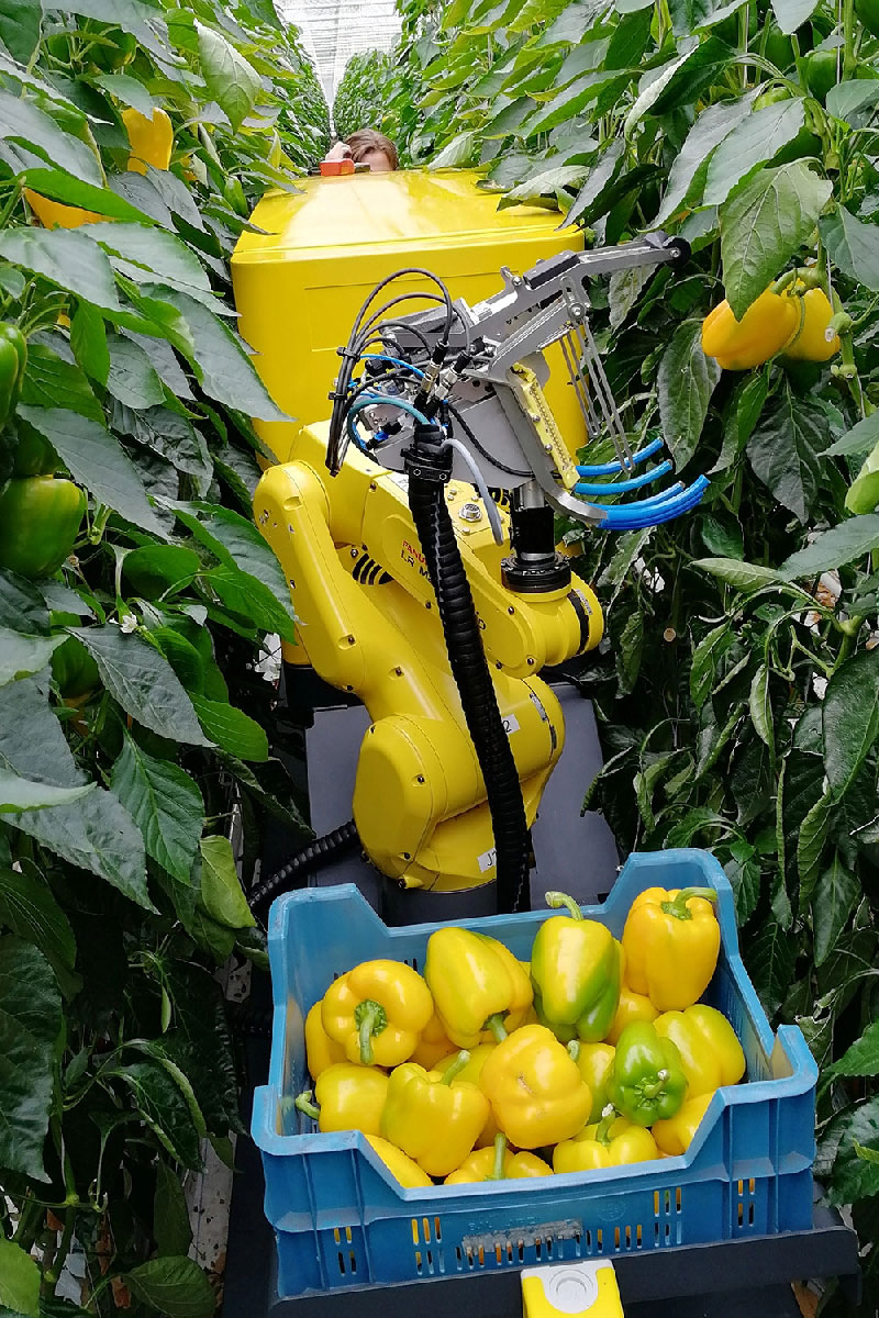 FANUC'dan Gıda Krizine Karşı Robot Hamlesi