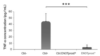 Anti-Inflammation activity: Epilobium angustifolium L. pre-treatment in prostate cells (LNCap) reduces the inflammatory response by decreasing the TNFα protein level. TNFα is one of the most important pro-inflammatory cytokines.