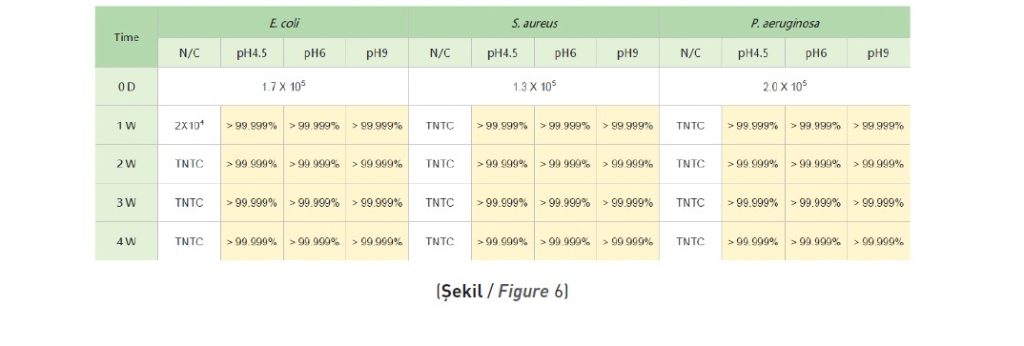 Stabilite Testi