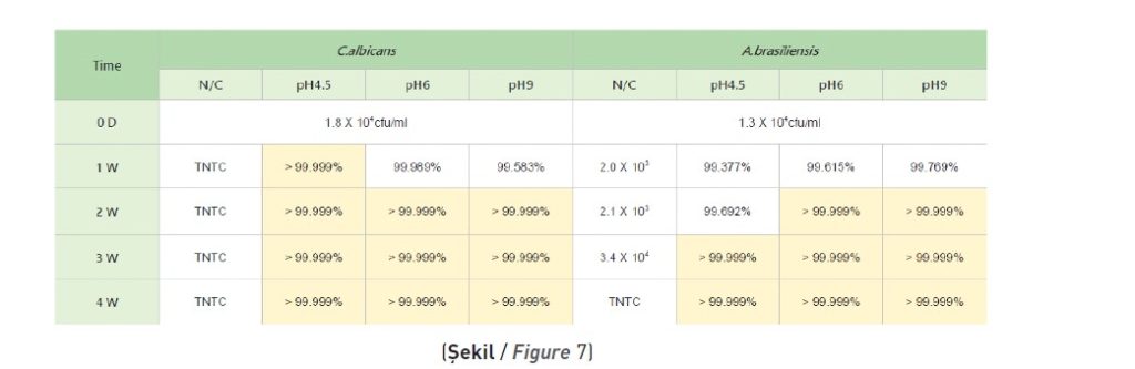 şekil 7