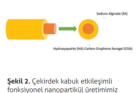 Çekirdek kabuk etkileşimli fonksiyonel nanopartikül üretimi