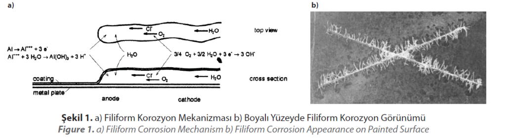 Filiform Corrosion