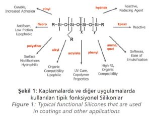 Kaplamalarda ve diğer uygulamalarda
kullanılan tipik fonksiyonel Silikonlar