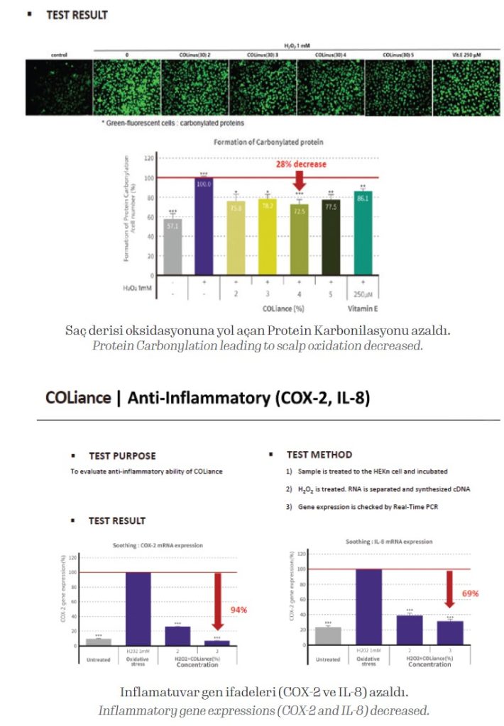 Inflammatory gene expressions (COX-2 and IL-8) decreased.