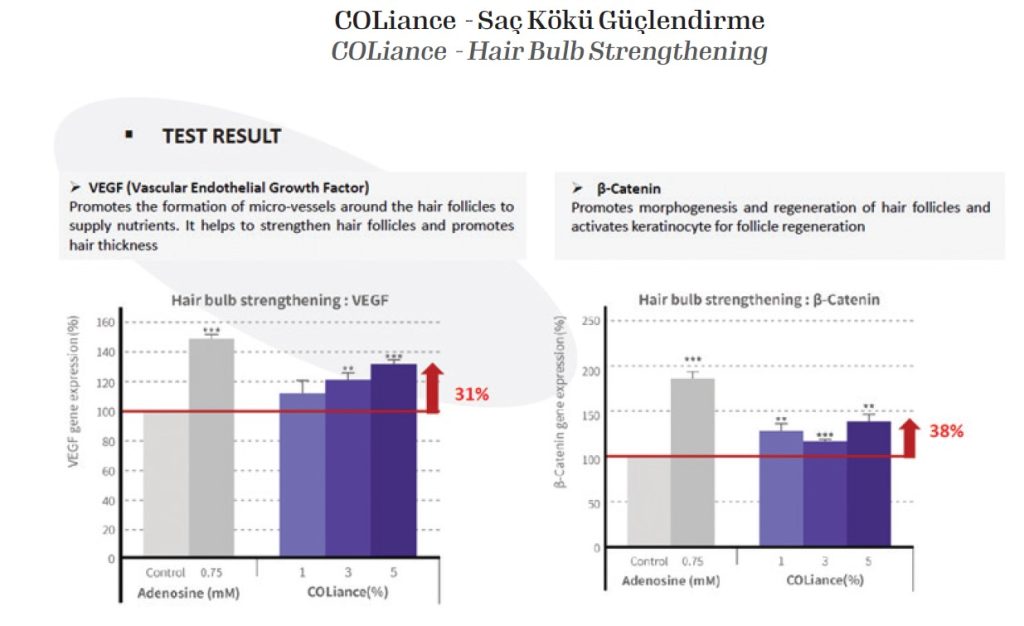 COLiance - Hair Bulb Strengthening