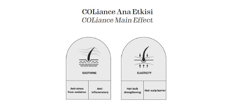 COLiance Ana Etkisi